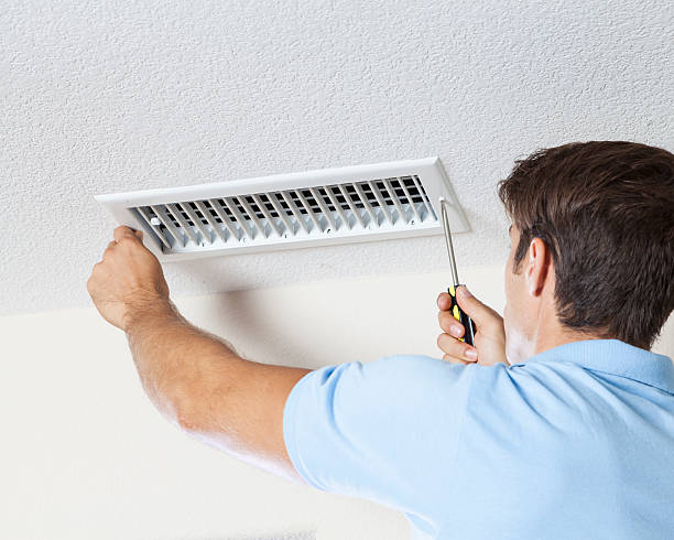 Best Black Mold Removal  in Grove, OK