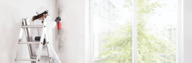 Best Industrial Mold Remediation  in Grove, OK