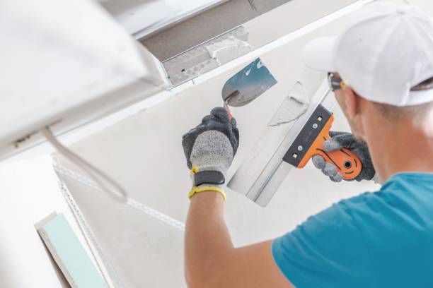 Best Mold Odor Removal Services  in Grove, OK